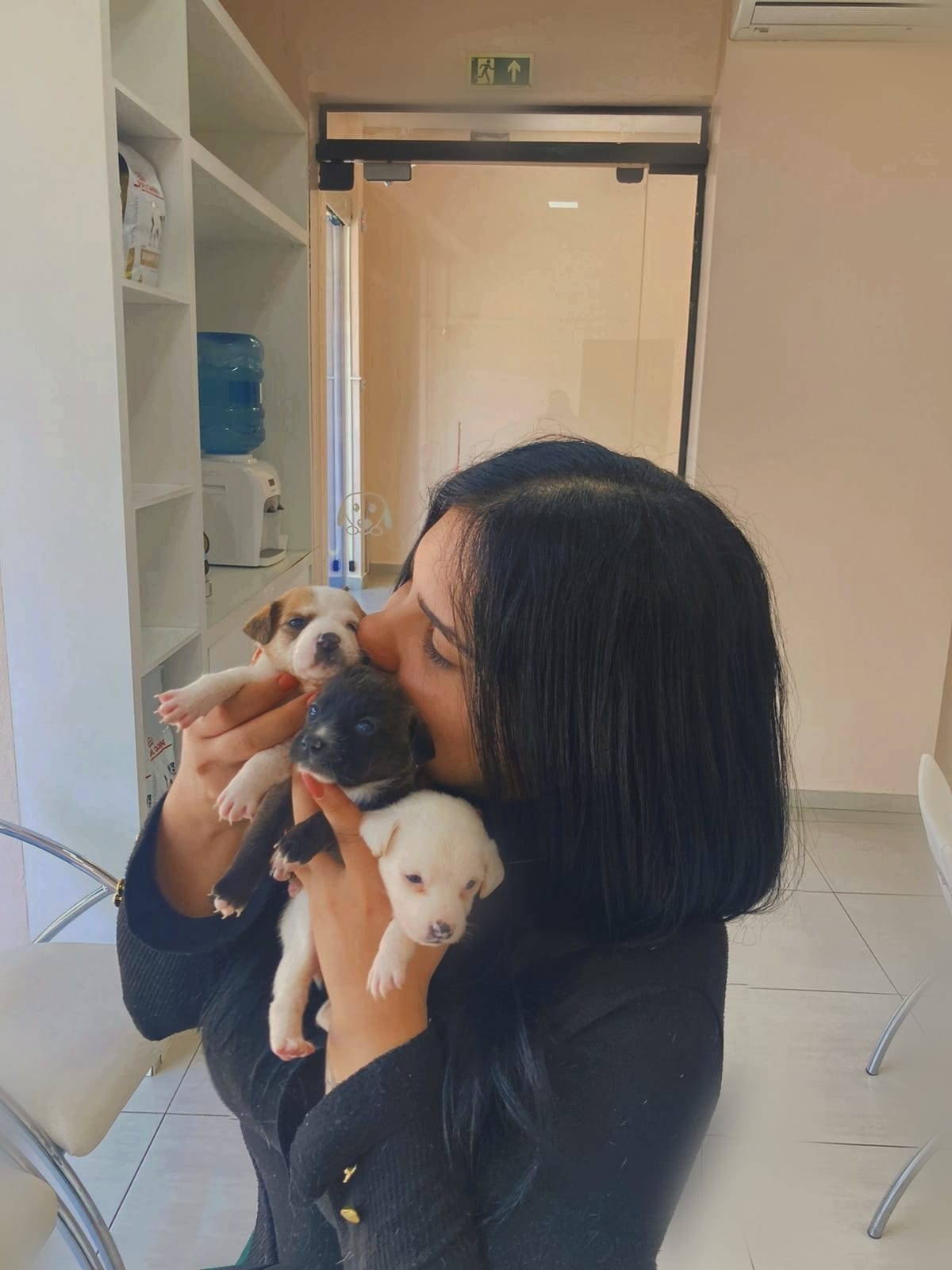 Laboratório veterinário perto de mim em Novo Hamburgo